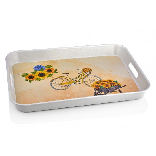 LARGE SIZE DEEP TRAY